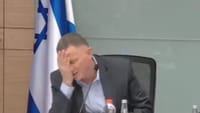 מי אדוני? הפאדיחה של אדלשטיין עם ח"כ מיש עתיד