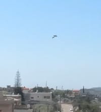 צפו: רגע פגיעת הכטב"מ של חיזבאללה בעראמשה