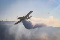 ניתן לשוב לבתים: הושגה שליטה על האש בפדואל