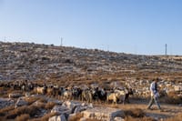כבר 5 ימים: 3 קטינים עצורים בלי לראות עורך דין