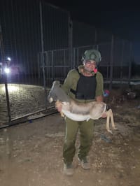 במבצע מיוחד: 6 צבאים חולצו מתוך כפר פלסטיני