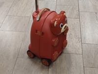 בתוך מזוודה של דובי: הבריח זהב בשווי של חצי מיליון ש"ח