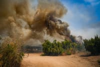 דיווח בלבנון: הרוג בתקיפת רכב בדרום המדינה