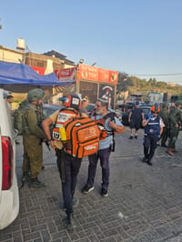 פיגוע דריסה ליד אריאל: המחבל חוסל בידי חיילים