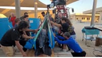 צב הים הגדול בעולם הגיע פצוע לחופי ישראל