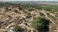 שודדי עתיקות ערבים גרמו לנזק בלתי הפיך לשרידים מימי בית שני