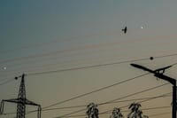 דאגה בישראל: המשמעות האמיתית של האירוע הקשה בצפון