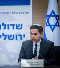 דן אילוז
