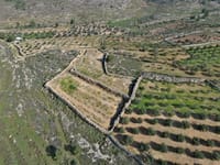 בעקבות העתירה לבג"ץ: תיעצר הפלישה הבלתי חוקית בגוש עציון