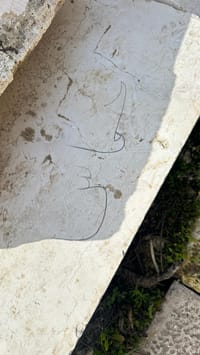 פעם נוספת: נמצאו כתובות הסתה בהר הבית בעד חמאס