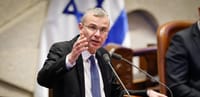 יריב לוין