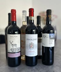 עושים סדר: אלו היינות המומלצים לחג הפסח