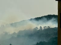 שריפה פרצה בהרי ירושלים, כוחות כיבוי גדולים במקום