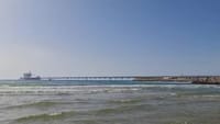 סוף עצוב: הממצאים אישרו כי הצוללן נטרף למוות בידי כריש