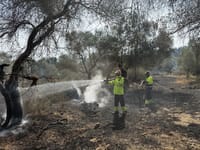 שריפה מתפשטת במהירות ביער אשתואל
