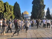 שיא חדש: זאת כמות היהודים שעלו להר הבית