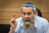 חבר הכנסת אבי מעוז