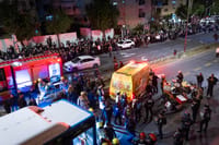המשטרה חוזרת בה: נהג האוטובוס בי-ם לא חשוד ברצח – אלא בהמתה