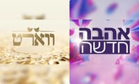 "איפה אהבה חדשה ואיפה ווארט": המתקפה על רשת 13