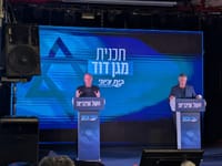 חילי טרופר ויועז הנדל