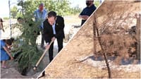 הרצוג נוטע את העץ, ואיך הוא נראה היום