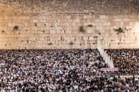 סליחות בכותל