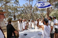 הקפות באתר הנובה