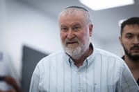 מנדלבליט