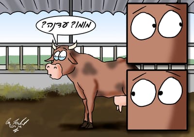 הקריקטורה היומית של אור רייכרט: יום אחרי יום העצמאות