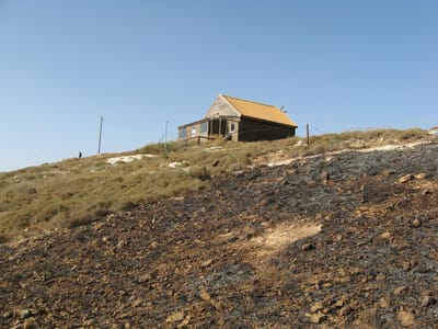 יצהר בוערת: ערבים הציתו שדות ומטעים בהתנחלות