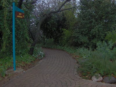 מה קורה כשיושבים חמישה ימים בלי להוציא מילה מהפה?
