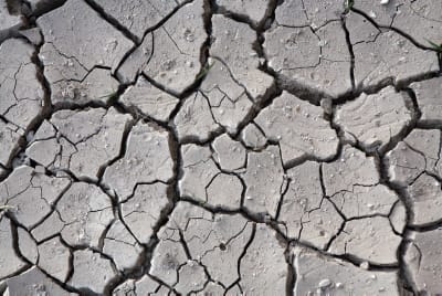 הרב שרלו: מה ניתן לעשות בעולם הרוחני מול הבצורת?
