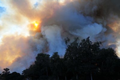 השריפה בכרמל נבלמה, אבל ייקח זמן עד לכיבויה