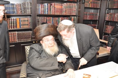 כצל'ה נפגש עם האדמו"ר מסדיגורא (גלריה)