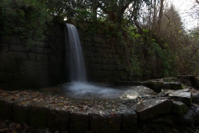 גלריית תמונות מזרימת המים בבניאס