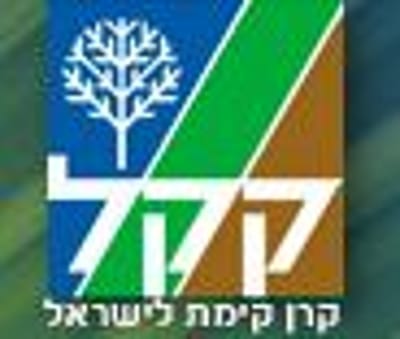 ברוואבי מחרימים גם את העצים של הקרן הקיימת לישראל
