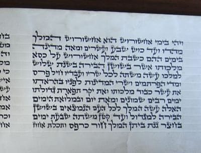 המדריך: מה באמת צריך לבדוק כשקונים מגילת אסתר?