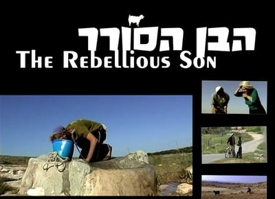 שושה גרינפלד: איך אתר "כשר" גונב ממני בלי בושה?