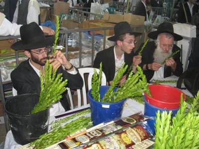 גלריית תמונות: שוק ארבעת המינים בירושלים