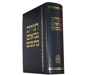 אני מתביישת: מעולם לא סיימתי לקרוא את כל התנ"ך