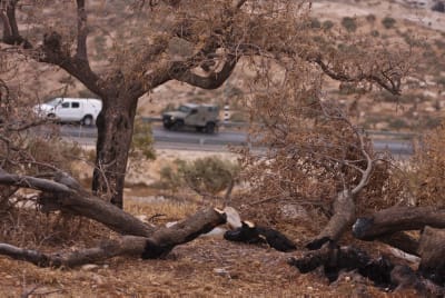 השקר של השמאל נחשף: כתב אישום אחד בשבע שנים