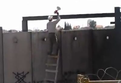 צפו: המפגין הפלסטיני טיפס על גדר ההפרדה וחטף