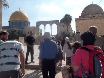 חודש אב: מאות יהודים עולים להר הבית בכל יום