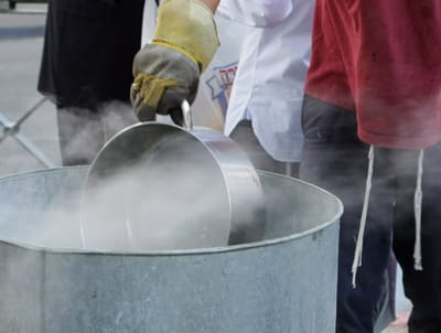 החילונים של הבית היהודי השיקו מלשינון כשרות