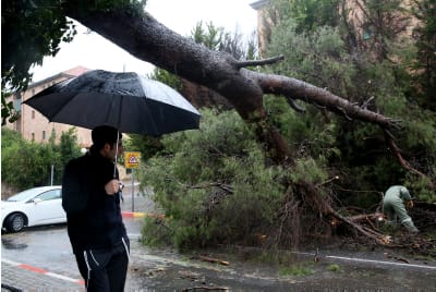 לקראת הסופה והשלג: הרשויות מתכוננות לסערה