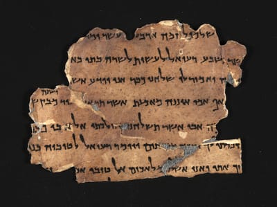 משדרגים: אתר חדש למגילות הגנוזות