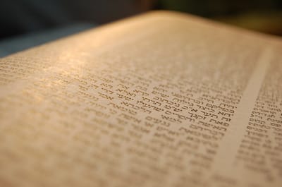 לומדים דף יומי עם הרב קצין: ראש השנה דף יט