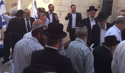 בן האדמו"ר מסדיגורה עמד בשירת התקווה