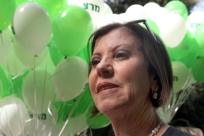 גלאון: מישהו שכח שמבצע צה"ל לא עובד