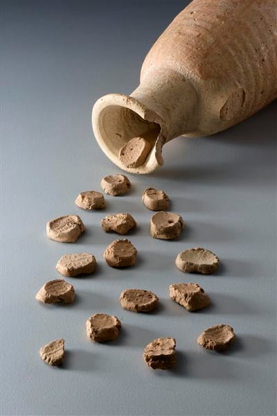 הישן יתחדש: מוזיאון ארכיאולוגי עולה לרשת